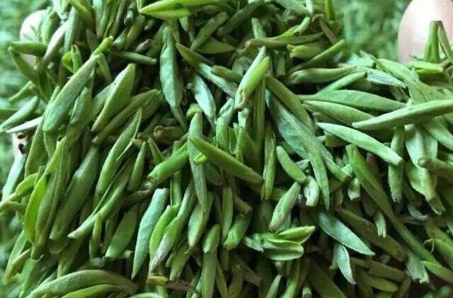8 CHINESE TEAS YOU DON’T KNOW BUT SHOULD